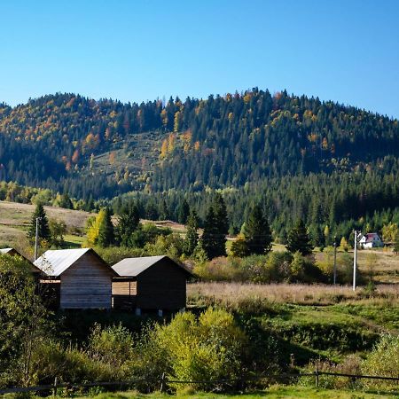 Вілла Family House Volosianka Волосянка Екстер'єр фото