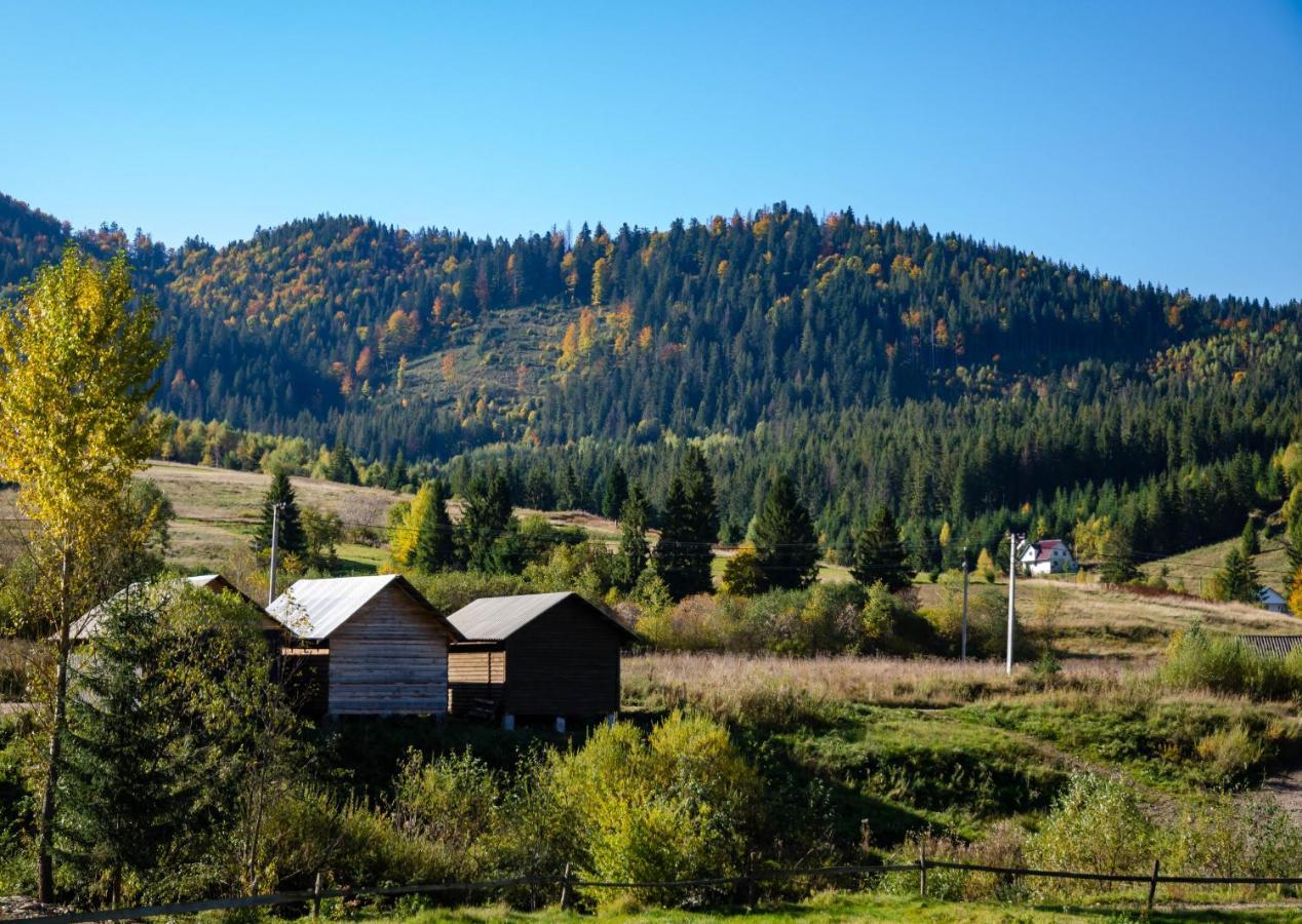 Вілла Family House Volosianka Волосянка Екстер'єр фото