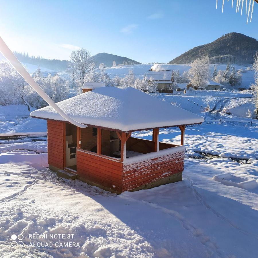 Вілла Family House Volosianka Волосянка Екстер'єр фото